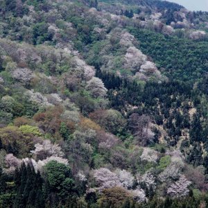 2025bVEzGA lC̍EԌX|bg ԁ 41Ỉ摜21