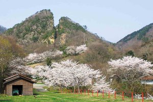 2025bVEzGA lC̍EԌX|bg ԁ 41Ỉ摜42