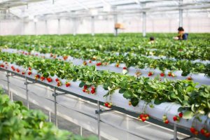 2025bV̂X|bg13Ỉ摜14