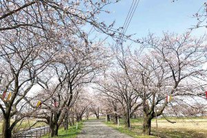 2025bVEzGA lC̍EԌX|bg ԁ 41Ỉ摜11