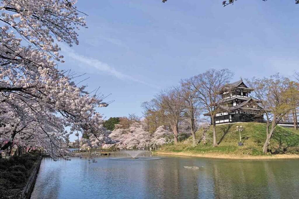 22 新潟のお花見スポット73選 桜の名所 定番 穴場 見頃情報 街ニュース 新潟の街ニュース ローカル情報 Komachi Web こまちウェブ