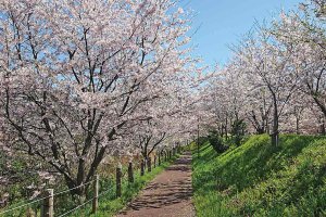 2025bV̂ԌEX|bg50I@Cxg̉摜36