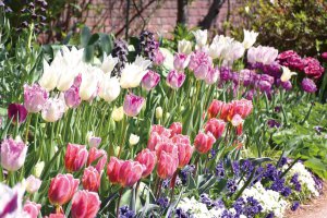 2024bGWɂ߁I V̉ԃX|bg12Ỉ摜5