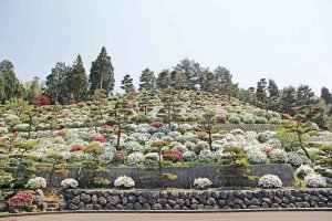 2024bGWɂ߁I V̉ԃX|bg12Ỉ摜9