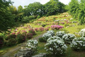 2024bGWɂ߁I V̉ԃX|bg12Ỉ摜8