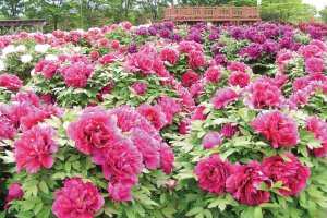 2024bGWɂ߁I V̉ԃX|bg12Ỉ摜10