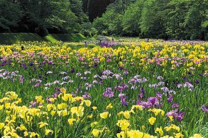 2025bVEẲԂ߂ i8Ỉ摜11