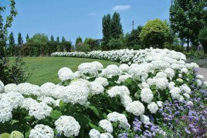 2025bVEẲԂ߂ i8Ỉ摜3