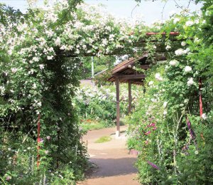 2025bVEẲԂ߂ i8Ỉ摜4