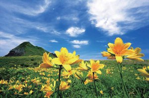 2025bVEẲԂ߂ i8Ỉ摜8