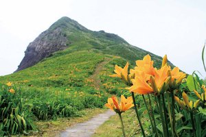 2025bVEẲԂ߂ i8Ỉ摜9