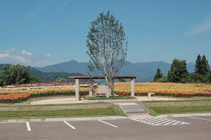 2025bVEẲԂ߂ i8Ỉ摜17