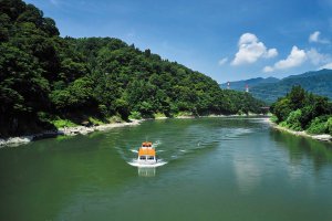 2025�b�e�q�ōs����I�V���̉ċx�݃��W���[�X�|�b�g18�I�̉摜10