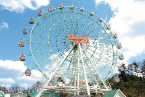 2025�b�e�q�ōs����I�V���̉ċx�݃��W���[�X�|�b�g18�I�̉摜9