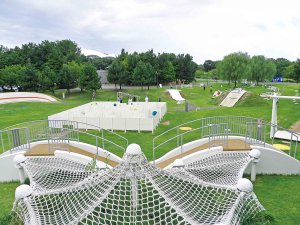 2025�b�e�q�ōs����I�V���̉ċx�݃��W���[�X�|�b�g18�I�̉摜4