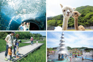 2025�b�e�q�ōs����I�V���̉ċx�݃��W���[�X�|�b�g18�I�̃��C���摜