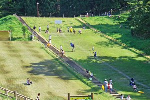 2025�b�e�q�ōs����I�V���̉ċx�݃��W���[�X�|�b�g18�I�̉摜11