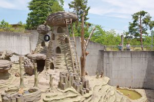 2025�b�e�q�ōs����I�V���̉ċx�݃��W���[�X�|�b�g18�I�̉摜15