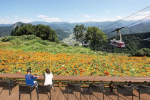 2025�b�e�q�ōs����I�V���̉ċx�݃��W���[�X�|�b�g18�I�̉摜21