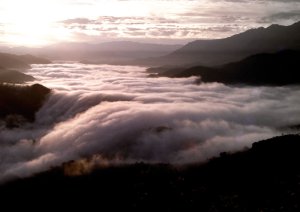 x͖KꂽIVEĂ̐ioX|bg15Ỉ摜10