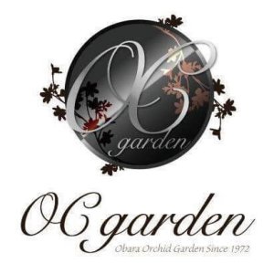 �y��Vision�v���W�F�N�g�z�V����̏������[�_�[�ɕ����ߖ����̓W�]�Ɣ������o�c�w Vol.4�̉摜25