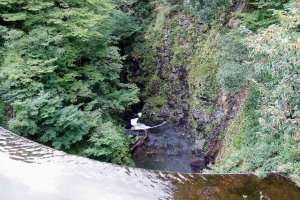 �Ăɂ������߁I�V���E�����������X�|�b�g18�I ����������̉摜18