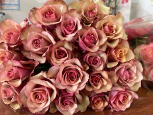 �y��Vision�v���W�F�N�g�z�V����̏������[�_�[�ɕ����ߖ����̓W�]�Ɣ������o�c�w Vol.4�̉摜26