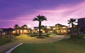 �y��Vision�v���W�F�N�g�z�V����̏������[�_�[�ɕ����ߖ����̓W�]�Ɣ������o�c�w Vol.4�̉摜18