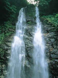 �Ăɂ������߁I�V���E�����������X�|�b�g18�I ����������̉摜20