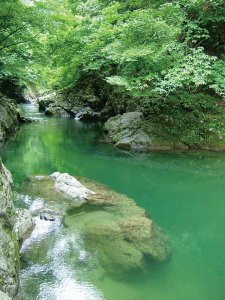 �Ăɂ������߁I�V���E�����������X�|�b�g18�I ����������̉摜9