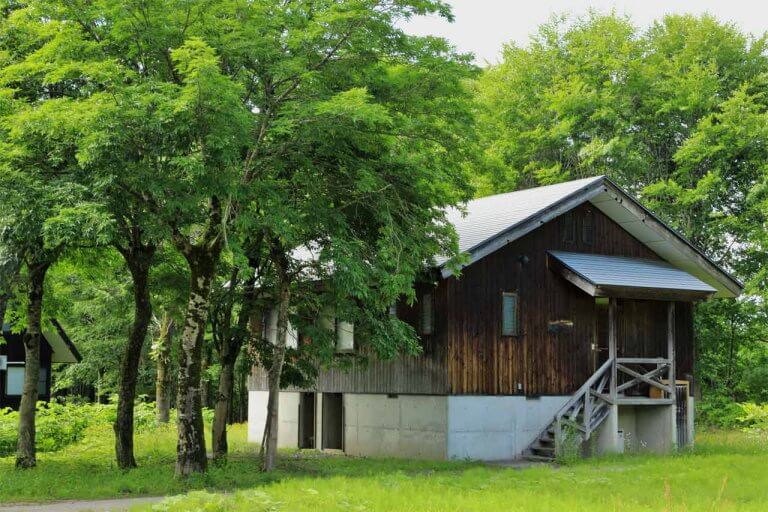 X̒̑ݕʑœʂȃIC}bT[WBÊёŁuA[F[_nEXv8/27(y)E28()JẨ摜5