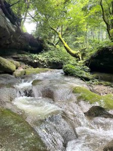 �Ăɂ������߁I�V���E�����������X�|�b�g18�I ����������̉摜4