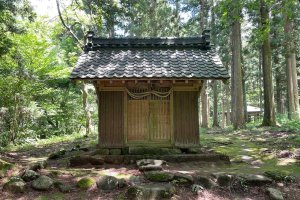 �Ăɂ������߁I�V���E�����������X�|�b�g18�I ����������̉摜6