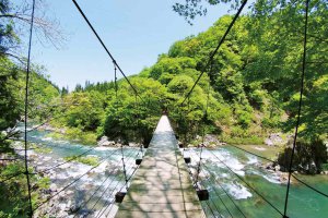 �Ăɂ������߁I�V���E�����������X�|�b�g18�I ����������̉摜26