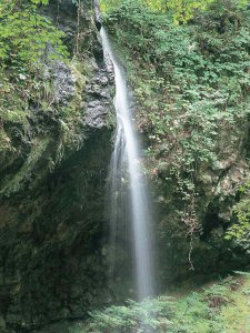 �Ăɂ������߁I�V���E�����������X�|�b�g18�I ����������̉摜11