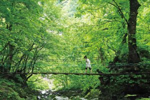 �Ăɂ������߁I�V���E�����������X�|�b�g18�I ����������̉摜2