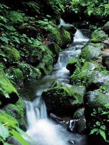 �Ăɂ������߁I�V���E�����������X�|�b�g18�I ����������̉摜15