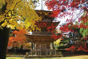 2025�b�V���̐�i�g�t�X�|�b�g ����30�I�̃��C���摜