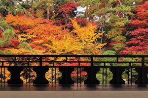 2025�b�V���̐�i�g�t�X�|�b�g ����30�I�̉摜2