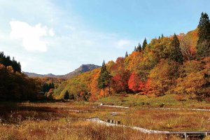 2025�b�V���̐�i�g�t�X�|�b�g ����30�I�̉摜14