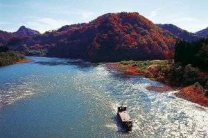 2025�b�V���̐�i�g�t�X�|�b�g ����30�I�̉摜13