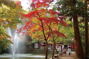 2025�b�V���̐�i�g�t�X�|�b�g ����30�I�̉摜17