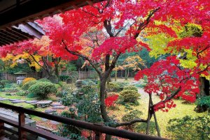 2025�b�V���̐�i�g�t�X�|�b�g ����30�I�̉摜16