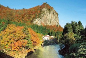 2025�b�V���̐�i�g�t�X�|�b�g ����30�I�̉摜19