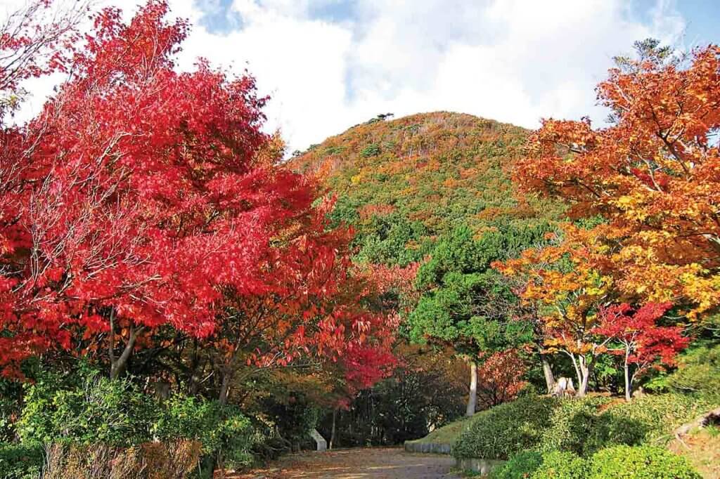 秋のおでかけに！新潟の紅葉スポット｜県央・長岡・魚沼・柏崎 20選