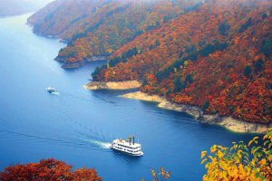 2025�b�V���̐�i�g�t�X�|�b�g ����30�I�̉摜23