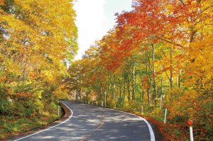 2025�b�V���̐�i�g�t�X�|�b�g ����30�I�̉摜24