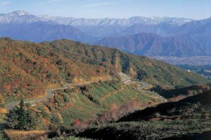 2025�b�V���̐�i�g�t�X�|�b�g ����30�I�̉摜26