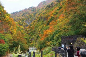 2025�b�V���̐�i�g�t�X�|�b�g ����30�I�̉摜31