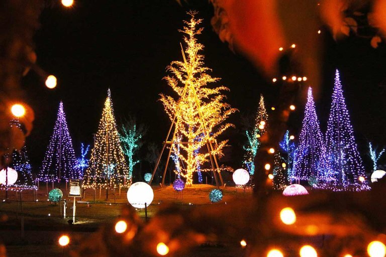 13万球が輝く「いくとぴあ食花 2022-2023 WINTER ILLUMINATION